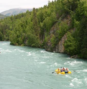 Kenai River Trips Photo