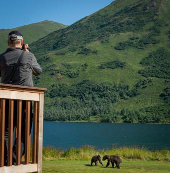 Kodiak Brown Bear Center Photo