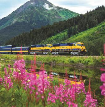 Alaska Railroad Photo