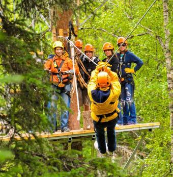 Denali Zipline Tours Photo
