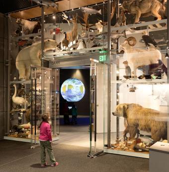 Alaska State Museum Photo